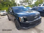 ✅ 2022 Kia Telluride EX • VIN: 5XYP3DHC0NG290768 • Lot: 43607299. Listed on IAAI with 52,100 mi. Free auction sales archive from the USA and detailed vehicle history report at DreamBid. Image 19.