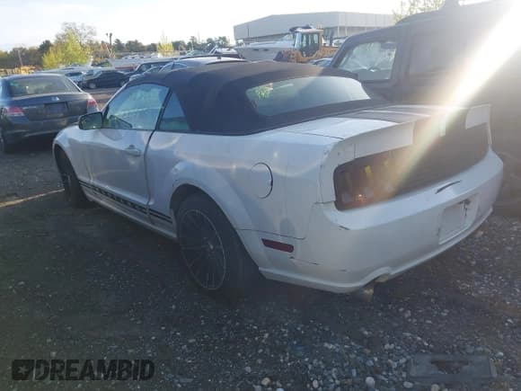✅ 2006 Ford Mustang Standard • VIN: 1ZVFT84N265189815 • Lot: 42171184. Listed on IAAI with Not provided. Free auction sales archive from the USA and detailed vehicle history report at DreamBid. Image 3.