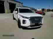 2020 Hyundai Palisade SEL с VIN KM8R4DHE1LU088388, выставлен на аукционе Copart как лот 74095624 с пробегом 105 906 миль миль и Списание • Salvage title. История ставок и продаж доступна на DreamBid. Изображение 14.