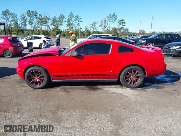 ✅ 2006 Ford Mustang Standard • VIN: 1ZVFT80N165250724 • Lot: 43662006. Listed on IAAI with 179,388 mi. Free auction sales archive from the USA and detailed vehicle history report at DreamBid. Image 14.