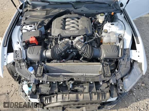 ✅ 2024 Ford Mustang GT • VIN: 1FA6P8CF1R5428380 • Lot: 71914685. Listed on Copart with 4,319 mi. Free auction sales archive from the USA and detailed vehicle history report at DreamBid. Image 11.