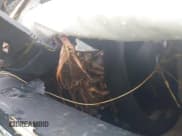 ✅ 2017 Nissan Rogue S • VIN: JN1BJ1CR8HW137088 • Лот: 42607565. Опубликован ранее на IAAI с пробегом Не указан. Бесплатный доступ к архиву аукционных продаж из США и подробный отчёт об истории автомобиля на DreamBid. Изображение 15.