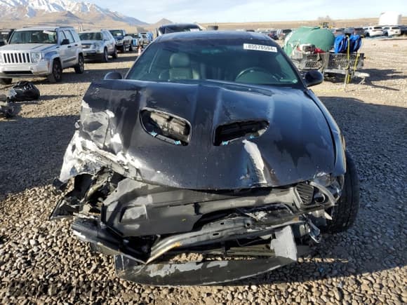 ✅ 2006 Pontiac GTO • VIN: 6G2VX12UX6L532622 • Lot: 85578594. Listed on Copart with Not provided. Free auction sales archive from the USA and detailed vehicle history report at DreamBid. Image 5.