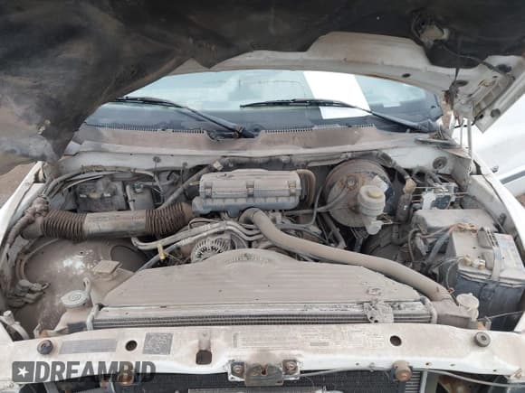 ✅ 1998 Dodge 1500 • VIN: 3B7HC12YXWM244960 • Lot: 43754203. Wystawiony na IAAI z przebiegiem 102 061 mil. Bezpłatny archiwum sprzedaży aukcyjnych z USA i szczegółowy raport historii pojazdu na DreamBid. Zdjęcie 10.