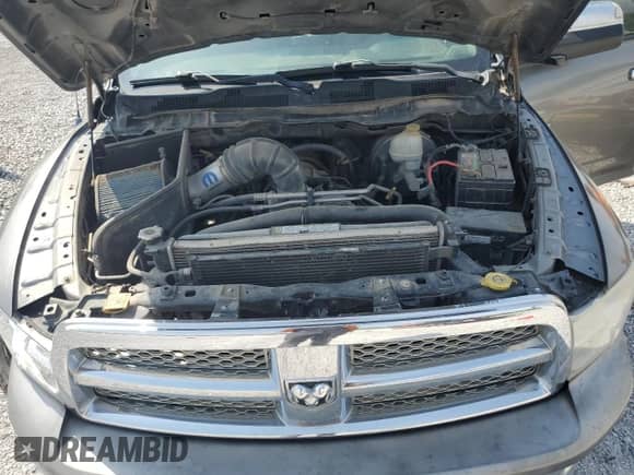 2009 Dodge 1500 SLT with VIN 1D3HV13T69S746672, listed as a Copart auction lot 64733015 with 226,944 mi miles and Salvage title. Bid and sale history available at DreamBid. Image 11.