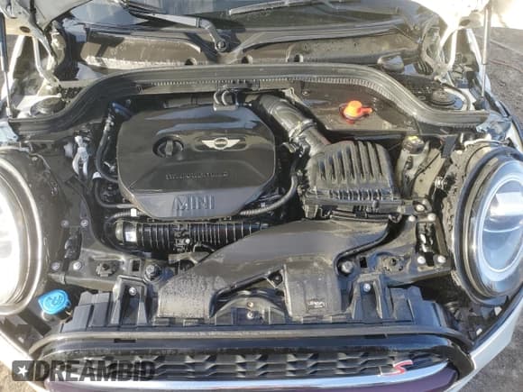 ✅ 2019 MINI Convertible Cooper S • VIN: WMWWG9C51K3E39923 • Lot: 77023164. Listed on Copart with 37,225 mi. Free auction sales archive from the USA and detailed vehicle history report at DreamBid. Image 11.