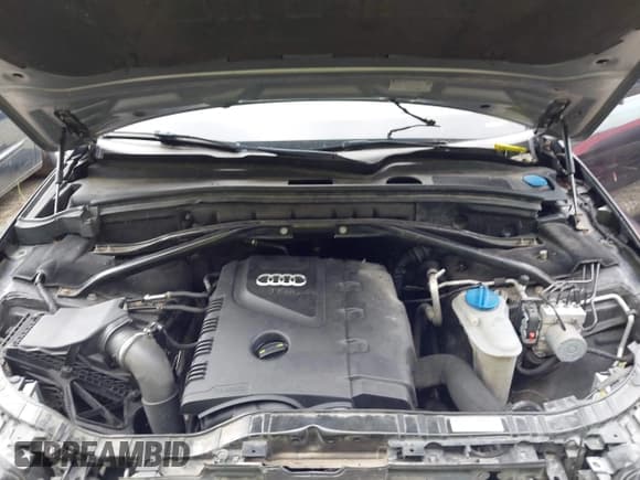 ✅ 2014 Audi Q5 Premium Plus • VIN: WA1LFAFPXEA014232 • Lot: 42786426. Wystawiony na IAAI z przebiegiem 145 259 mil. Bezpłatny archiwum sprzedaży aukcyjnych z USA i szczegółowy raport historii pojazdu na DreamBid. Zdjęcie 10.