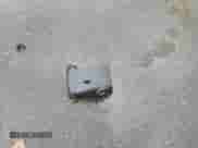 ✅ 2017 Hyundai Elantra SE • VIN: 5NPD84LF7HH006569 • Lot: 91732085. Listed on Copart with 115,459 mi. Free auction sales archive from the USA and detailed vehicle history report at DreamBid. Image 12.