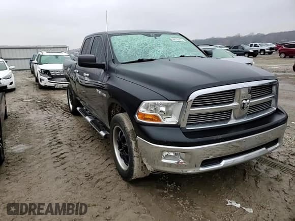 ✅ 2010 Dodge 1500 SLT • VIN: 1D7RV1GT0AS110637 • Lot: 44018475. Wystawiony na Copart z przebiegiem 235 033 mil. Bezpłatny archiwum sprzedaży aukcyjnych z USA i szczegółowy raport historii pojazdu na DreamBid. Zdjęcie 10.
