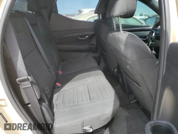 2023 Hyundai Santa Cruz SEL с VIN 5NTJBDAE2PH060604, выставлен на аукционе Copart как лот 76507544 с пробегом 8 146 миль миль и Списание • Salvage title. История ставок и продаж доступна на DreamBid. Изображение 11.