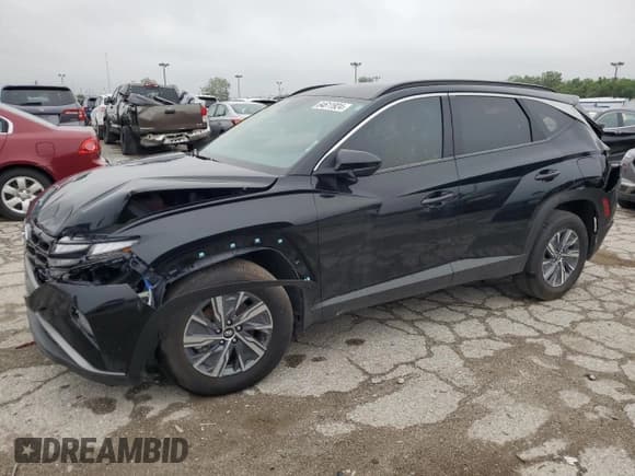 ✅ 2024 Hyundai Tucson Blue • VIN: KM8JBCD19RU160205 • Lot: 64611924. Wystawiony na Copart z przebiegiem 29 292 mil. Bezpłatny archiwum sprzedaży aukcyjnych z USA i szczegółowy raport historii pojazdu na DreamBid. Zdjęcie 1.