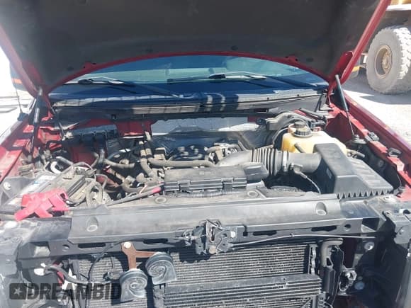 ✅ 2013 Ford F-150 XLT • VIN: 1FTFX1EFXDFC63429 • Lot: 43372351. Listed on IAAI with 125,626 mi. Free auction sales archive from the USA and detailed vehicle history report at DreamBid. Image 10.