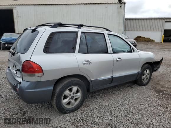 2005 Hyundai Santa Fe GLS with VIN KM8SC13E45U894450, listed as a Copart auction lot 81126475 with 117,824 mi miles and Salvage title. Bid and sale history available at DreamBid. Image 3.