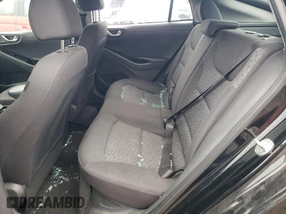 ✅ 2019 Hyundai Ioniq Blue • VIN: KMHC65LC0KU178528 • Lot: 81238754. Wystawiony na Copart z przebiegiem 116 079 mil. Bezpłatny archiwum sprzedaży aukcyjnych z USA i szczegółowy raport historii pojazdu na DreamBid. Zdjęcie 10.