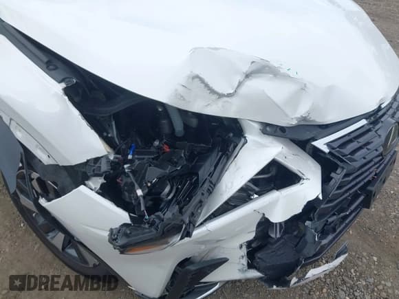 ✅ 2018 Lexus NX 300 • VIN: JTJBARBZ0J2156113 • Lot: 43595669. Listed on IAAI with 86,444 mi. Free auction sales archive from the USA and detailed vehicle history report at DreamBid. Image 6.