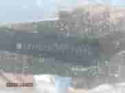 2014 Chevrolet Malibu LT z VIN 1G11C5SL5EF168603, wystawiony jako IAAI lot #43313799 z przebiegiem 123 263 mil mil oraz . Historia ofert i sprzedaży dostępna na DreamBid. Obrazek 9.