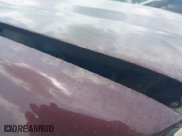 ✅ 2001 Mazda Tribute LX • VIN: 4F2CU08171KM30581 • Лот: 42479258. Опубликован ранее на IAAI с пробегом 168 970 миль. Бесплатный доступ к архиву аукционных продаж из США и подробный отчёт об истории автомобиля на DreamBid. Изображение 10.