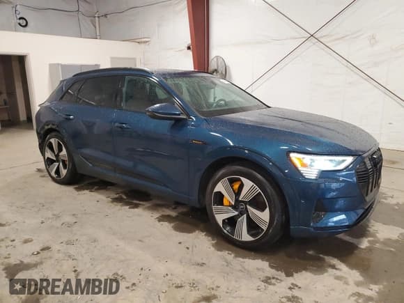✅ 2022 Audi e-tron Premium Plus • VIN: WA1LAAGE4NB006634 • Lot: 84389824. Listed on Copart with 48,516 mi. Free auction sales archive from the USA and detailed vehicle history report at DreamBid. Image 4.