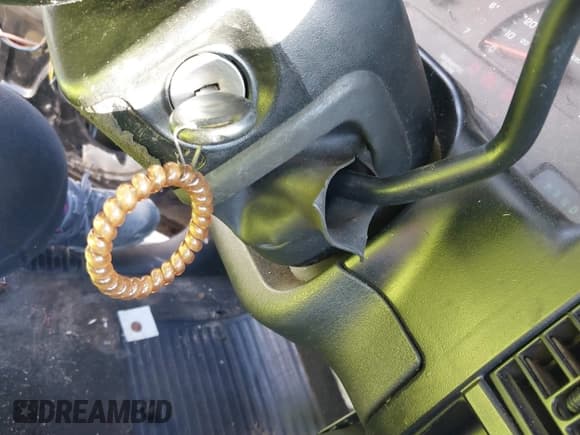 ✅ 2003 Dodge Dakota SLT • VIN: 1D7HL48X93S151422 • Lot: 40661577. Wystawiony na IAAI z przebiegiem 238 586 mil. Bezpłatny archiwum sprzedaży aukcyjnych z USA i szczegółowy raport historii pojazdu na DreamBid. Zdjęcie 11.