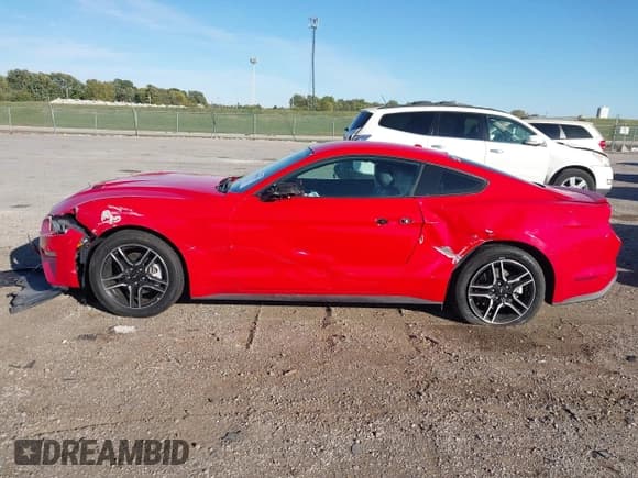 ✅ 2019 Ford Mustang EcoBoost • VIN: 1FA6P8THXK5172523 • Lot: 43509335. Wystawiony na IAAI z przebiegiem 79 889 mil. Bezpłatny archiwum sprzedaży aukcyjnych z USA i szczegółowy raport historii pojazdu na DreamBid. Zdjęcie 15.