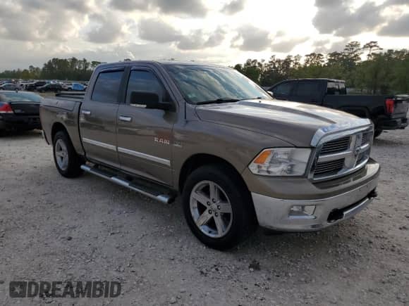 2009 Dodge 1500 SLT с VIN 1D3HB13T39J514805, выставлен на аукционе Copart как лот 80077394 с пробегом 186 697 миль миль и Чистый • Clean title. История ставок и продаж доступна на DreamBid. Изображение 4.