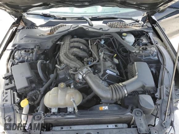 ✅ 2017 Ford Mustang V6 • VIN: 1FATP8EM7H5289093 • Lot: 49393205. Wystawiony na Copart z przebiegiem 135 356 mil. Bezpłatny archiwum sprzedaży aukcyjnych z USA i szczegółowy raport historii pojazdu na DreamBid. Zdjęcie 11.