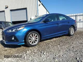 2019 Hyundai Sonata SE с VIN 5NPE24AF8KH815563, выставлен на аукционе Copart как лот 86221035 с пробегом 95 235 миль миль и Чистый • Clean title. История ставок и продаж доступна на DreamBid. Изображение 1.