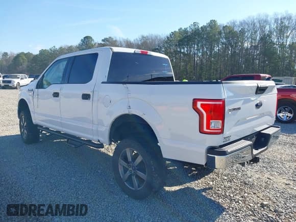 ✅ 2017 Ford F-150 XL • VIN: 1FTEW1CF3HFB34620 • Лот: 41283983. Опубликован ранее на IAAI с пробегом 138 489 миль. Бесплатный доступ к архиву аукционных продаж из США и подробный отчёт об истории автомобиля на DreamBid. Изображение 3.