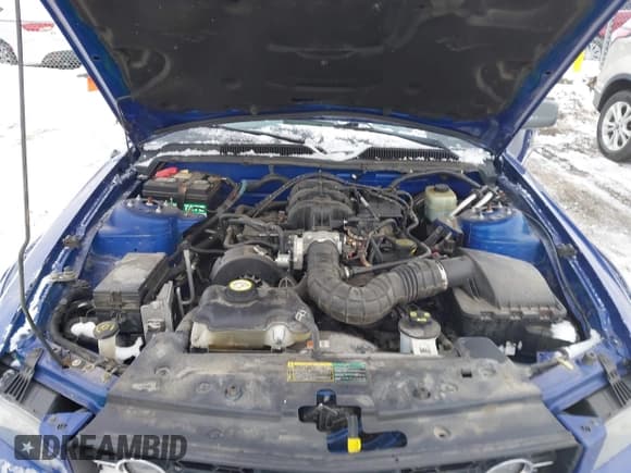 ✅ 2005 Ford Mustang Deluxe • VIN: 1ZVFT80N655157552 • Лот: 43842175. Опубликован ранее на IAAI с пробегом Не указан. Бесплатный доступ к архиву аукционных продаж из США и подробный отчёт об истории автомобиля на DreamBid. Изображение 10.