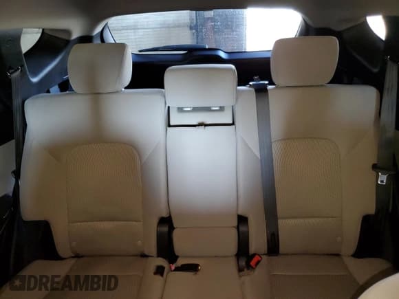 ✅ 2017 Hyundai Santa Fe 2.4L • VIN: 5XYZTDLB8HG397207 • Лот: 44744694. Опубликован ранее на Copart с пробегом 116 766 миль. Бесплатный доступ к архиву аукционных продаж из США и подробный отчёт об истории автомобиля на DreamBid. Изображение 10.