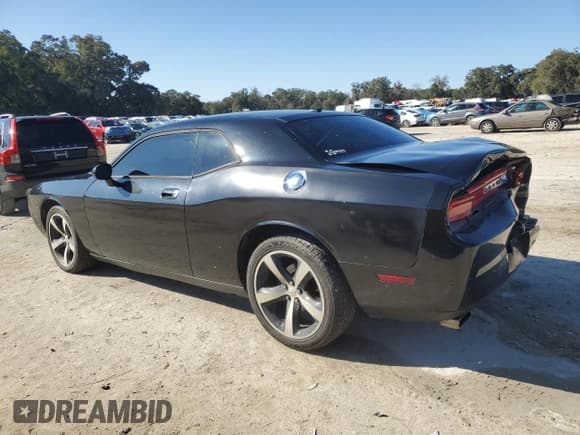 ✅ 2010 Dodge Challenger SE • VIN: 2B3CJ4DV5AH120303 • Lot: 88546555. Wystawiony na Copart z przebiegiem 173 473 mil. Bezpłatny archiwum sprzedaży aukcyjnych z USA i szczegółowy raport historii pojazdu na DreamBid. Zdjęcie 2.
