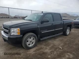 ✅ 2009 Chevrolet Silverado 1500 LT • VIN: 3GCEK23309G133951 • Lot: 46396804. Listed on Copart with 122,242 mi. Free auction sales archive from the USA and detailed vehicle history report at DreamBid. Image 1.