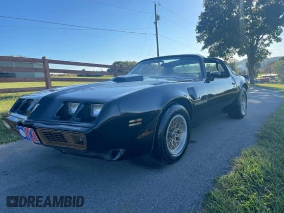 ✅ 1980 Pontiac Trans Am • VIN: 2W87WAL112090 • Lot: 85201465. Wystawiony na Copart z przebiegiem Nie podano. Bezpłatny archiwum sprzedaży aukcyjnych z USA i szczegółowy raport historii pojazdu na DreamBid. Zdjęcie 2.