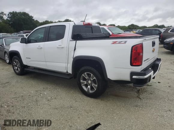 ✅ 2019 Chevrolet Colorado 2WD Z71 • VIN: 1GCGSDEN1K1110542 • Лот: 74142034. Опубликован ранее на Copart с пробегом Не указан. Бесплатный доступ к архиву аукционных продаж из США и подробный отчёт об истории автомобиля на DreamBid. Изображение 2.