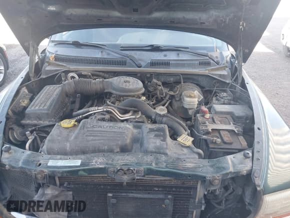 ✅ 2000 Dodge Dakota Sport • VIN: 1B7HG2AZ4YS724393 • Lot: 43645937. Wystawiony na IAAI z przebiegiem 144 705 mil. Bezpłatny archiwum sprzedaży aukcyjnych z USA i szczegółowy raport historii pojazdu na DreamBid. Zdjęcie 10.