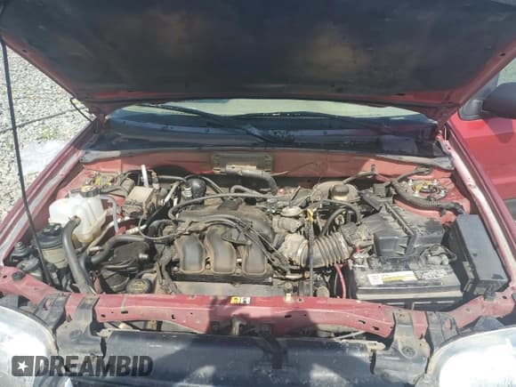 ✅ 2003 Ford Escape XLT Popular • VIN: 1FMYU03133KE18634 • Lot: 61671615. Listed on Copart with 222,708 mi. Free auction sales archive from the USA and detailed vehicle history report at DreamBid. Image 12.