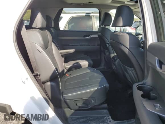 ✅ 2023 Hyundai Palisade XRT • VIN: KM8R3DGE4PU638029 • Лот: 75487984. Размещён на Copart с пробегом 26 964 миль миль. Получите бесплатный доступ к архиву аукционных продаж из США и посмотрите подробный отчёт об истории автомобиля на DreamBid. Изображение 11.