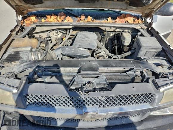 ✅ 2004 Chevrolet Silverado 2500HD Work Truck • VIN: 1GCHK24U14E290375 • Lot: 94463315. Wystawiony na Copart z przebiegiem 254 033 mil. Bezpłatny archiwum sprzedaży aukcyjnych z USA i szczegółowy raport historii pojazdu na DreamBid. Zdjęcie 11.