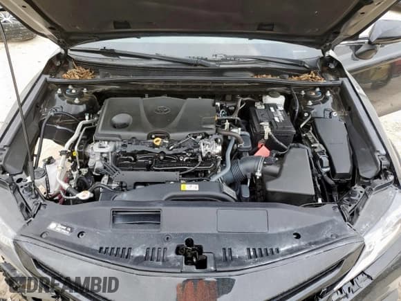 ✅ 2023 Toyota Camry SE • VIN: 4T1G11AKXPU744477 • Lot: 93331375. Wystawiony na Copart z przebiegiem 42 989 mil. Bezpłatny archiwum sprzedaży aukcyjnych z USA i szczegółowy raport historii pojazdu na DreamBid. Zdjęcie 11.