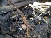 ✅ 2023 Toyota Tacoma SR • VIN: 3TMCZ5AN7PM600399 • Lot: 89389355. Listed on Copart with Not provided. Free auction sales archive from the USA and detailed vehicle history report at DreamBid. Image 9.