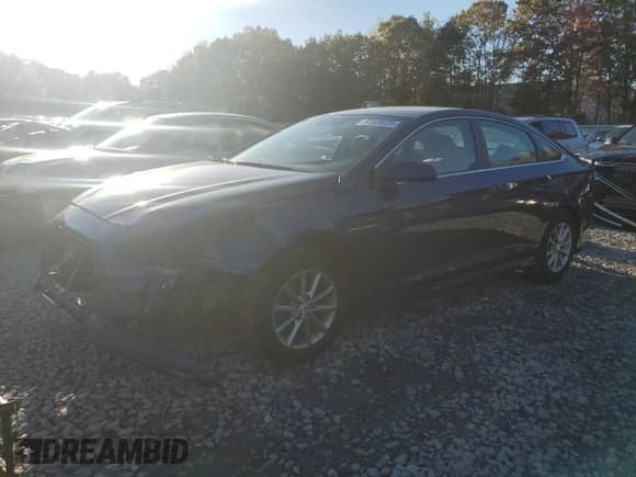 2019 Hyundai Sonata SE with VIN 5NPE24AF4KH788541, listed as a Copart auction lot 87028925 with 64,755 mi miles and Salvage title. Bid and sale history available at DreamBid. Image 1.