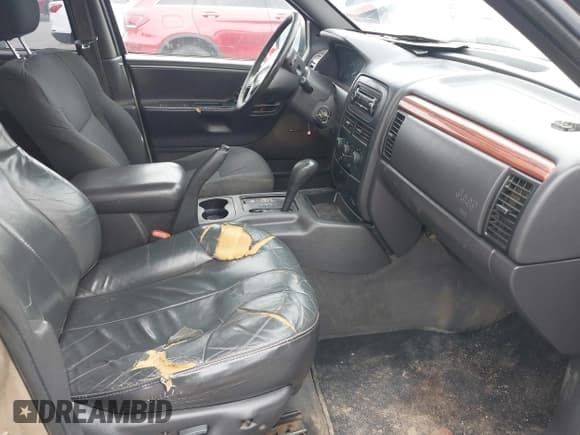 ✅ 1999 Jeep Grand Cherokee Laredo • VIN: 1J4G258S6XC788667 • Lot: 42101081. Wystawiony na IAAI z przebiegiem 255 368 mil. Bezpłatny archiwum sprzedaży aukcyjnych z USA i szczegółowy raport historii pojazdu na DreamBid. Zdjęcie 5.