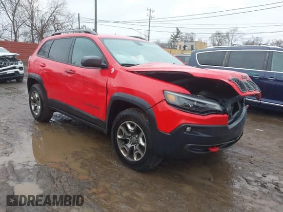 ✅ 2019 Jeep Cherokee Trailhawk • VIN: 1C4PJMBX4KD121168 • Lot: 41680398. Listed on IAAI with 128,931 mi. Free auction sales archive from the USA and detailed vehicle history report at DreamBid. Image 1.