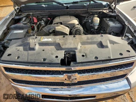 ✅ 2009 Chevrolet Silverado 1500 LT • VIN: 2GCEC29CX91101795 • Lot: 81501465. Wystawiony na Copart z przebiegiem 225 176 mil. Bezpłatny archiwum sprzedaży aukcyjnych z USA i szczegółowy raport historii pojazdu na DreamBid. Zdjęcie 11.