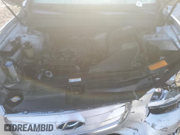 ✅ 2011 Hyundai Santa Fe GLS • VIN: 5XYZG4AG0BG057673 • Lot: 74096774. Listed on Copart with 225,286 mi. Free auction sales archive from the USA and detailed vehicle history report at DreamBid. Image 14.