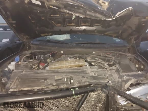 ✅ 2020 Ford F-150 XL • VIN: 1FTEW1EP3LKE34910 • Lot: 43230814. Wystawiony na IAAI z przebiegiem 113 099 mil. Bezpłatny archiwum sprzedaży aukcyjnych z USA i szczegółowy raport historii pojazdu na DreamBid. Zdjęcie 10.