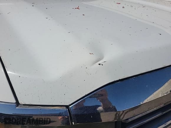 ✅ 2015 Chevrolet Silverado 2500HD Work Truck • VIN: 1GC0CUEG9FZ545350 • Lot: 43050082. Listed on IAAI with 173,371 mi. Free auction sales archive from the USA and detailed vehicle history report at DreamBid. Image 1.