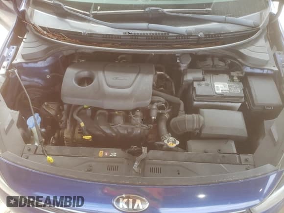 ✅ 2019 Kia Rio S • VIN: 3KPA24AB0KE210436 • Lot: 82551165. Wystawiony na Copart z przebiegiem 201 077 mil. Bezpłatny archiwum sprzedaży aukcyjnych z USA i szczegółowy raport historii pojazdu na DreamBid. Zdjęcie 11.