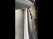 ✅ 2018 Ford F-250 XL • VIN: 1FT7X2B61JEC69068 • Lot: 42025807. Listed on IAAI with 174,951 mi. Free auction sales archive from the USA and detailed vehicle history report at DreamBid. Image 1.