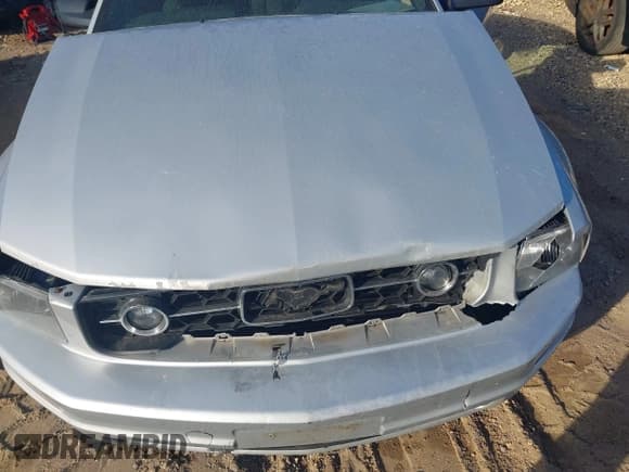 ✅ 2006 Ford Mustang Standard • VIN: 1ZVFT80N765250551 • Lot: 43380842. Listed on IAAI with 221,230 mi. Free auction sales archive from the USA and detailed vehicle history report at DreamBid. Image 6.